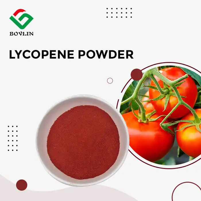 Lycopene Powder